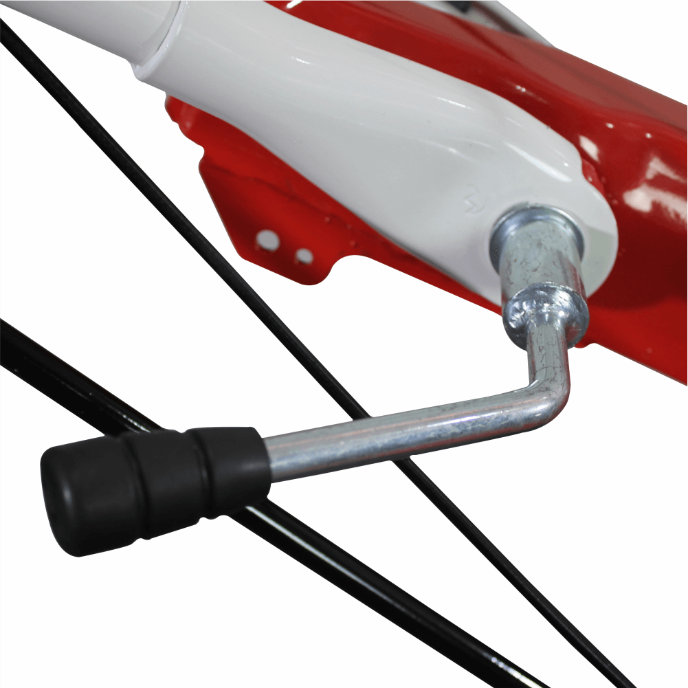 Motocultor Bisonte BTA-10SG - imagine 4